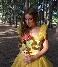 Load image into Gallery viewer, Classic Belle Princess Cosplay Costume Gown Dress for Girls Teens Adults