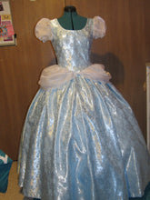 Load image into Gallery viewer, Deluxe Classic Cinderella Princess Costume Gown Dress and Choker for Teens Adults