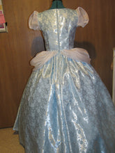 Load image into Gallery viewer, Deluxe Classic Cinderella Princess Costume Gown Dress and Choker for Teens Adults