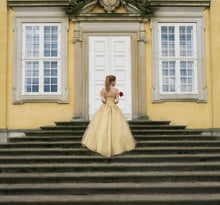 Load image into Gallery viewer, Beauty and the Beast Costume Ball Dress Princess Belle Gown
