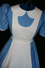 Load image into Gallery viewer, COSTUME ALICE Dress Cosplay Adult Size Custom Cosplay In WONDERLAND