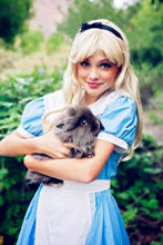 Load image into Gallery viewer, Alice in Wonderland costume