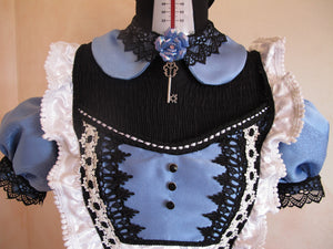 Alice in wonderland cosplay costume