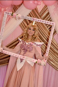 Sleeping Beauty petticoat Aurora Dress cosplay costume