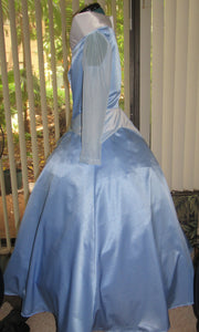 Classic Aurora Sleeping Beauty Princess Costume Gown Dress for Teens/Adults