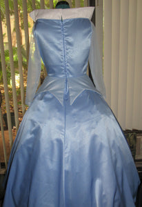 Classic Aurora Sleeping Beauty Princess Costume Gown Dress for Teens/Adults