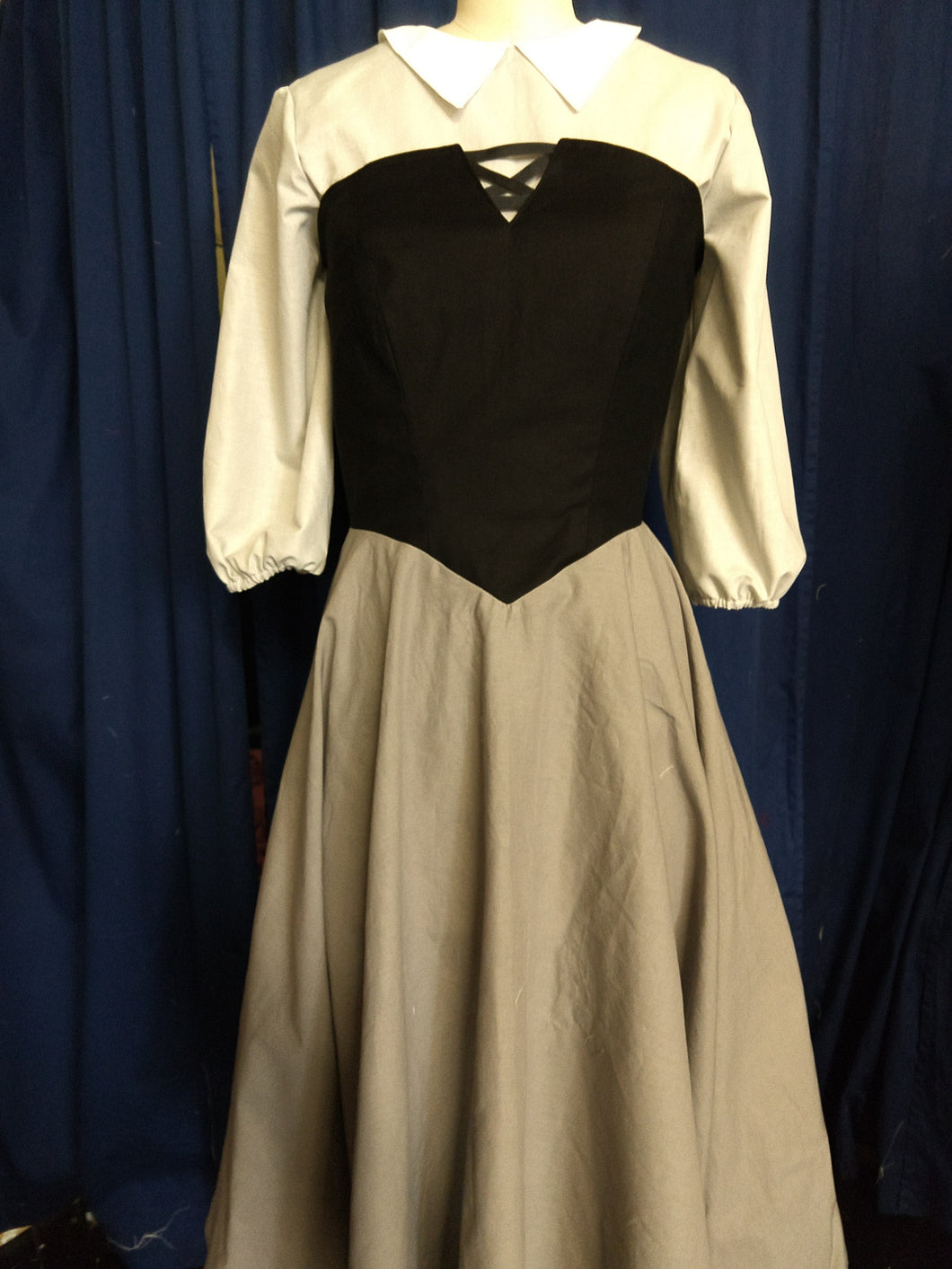 Briar Rose Peasant Dress from Sleeping Beauty READY TO SHIP
