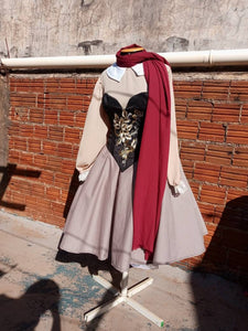 Aurora princess Briar Rose cosplay costume