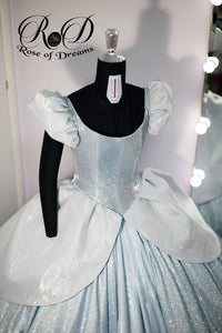 Cinderella cosplay costume