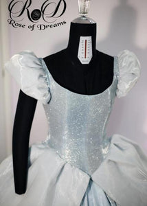Cinderella cosplay costume