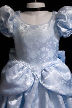 Load image into Gallery viewer, FLORAL Satin Brocade CHILD  Dress Cosplay Costume Size Cinderella GOWN Costume