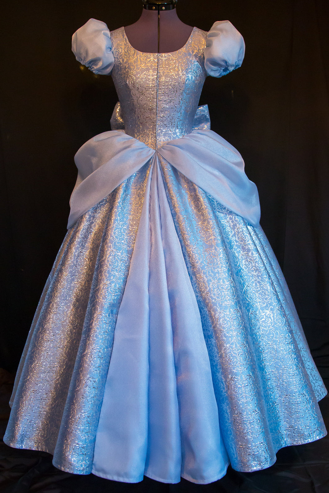 Costume DELUXE Dress Adult Version NEW Fabric Custom Cosplay Costume Cinderella GOWN