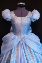 Load image into Gallery viewer, Costume DELUXE Dress Adult Version NEW Fabric Custom Cosplay Costume Cinderella GOWN