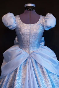 Costume DELUXE Dress Adult Version NEW Fabric Custom Cosplay Costume Cinderella GOWN