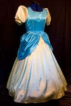Load image into Gallery viewer, DRIZELLA Dress Cinderella&#39;s STEPSISTER Adult Costume Gown Custom Cosplay