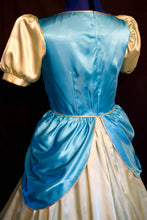 Load image into Gallery viewer, DRIZELLA Dress Cinderella&#39;s STEPSISTER Adult Costume Gown Custom Cosplay