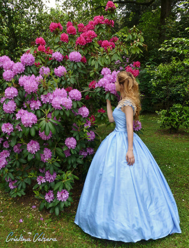 Custom made dress Civil War Princess Ball Gown Costume