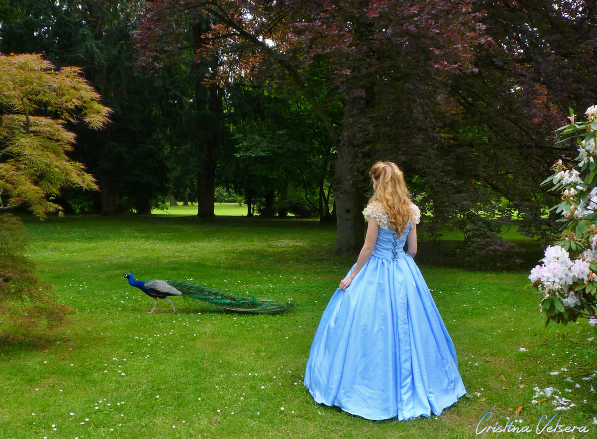 Custom Made Dress Civil War Princess Ball Gown Costume MJcostume custom-made-dress-civil-war-princess-ball-gown-costume-mjcostume