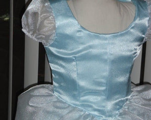Classic Cinderella Princess Costume Gown Dress and Choker for Girls