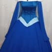 Load image into Gallery viewer, Princess customade+hoopskirt Cosplay Aurora Blue dress