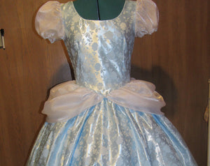 Deluxe Classic Cinderella Princess Costume Gown Dress and Choker for Teens Adults