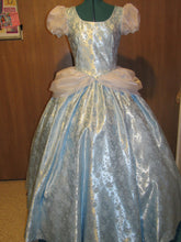 Load image into Gallery viewer, Deluxe Classic Cinderella Princess Costume Gown Dress and Choker for Teens Adults