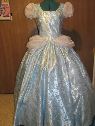 Deluxe Classic Cinderella Princess Costume Gown Dress and Choker for Teens Adults