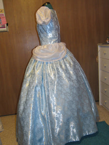 Deluxe Classic Cinderella Princess Costume Gown Dress and Choker for Teens Adults