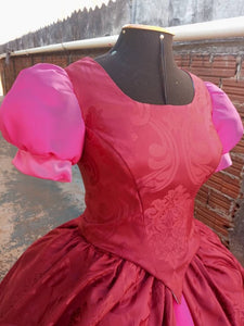 Stepsister's Cinderella Drizella and Anastasia Dress