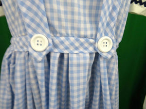 Farm girl inspired Blue & White Checkered Dress Costume Cosplay Adult wizard of oz