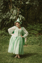 Load image into Gallery viewer, SAMPLE SALE Fauna Costume Green Fairy Cosplay Dress Female Adult