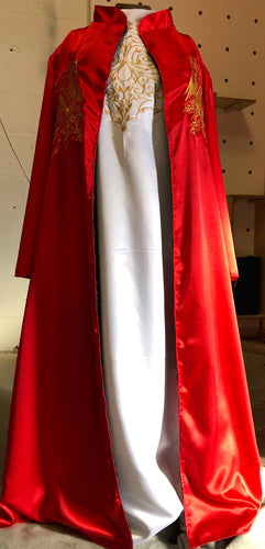 LUXURY Bram Stokers Dracula inspired Costume