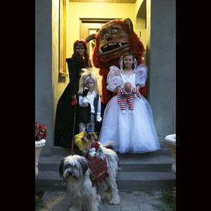Labyrinth Family Costume
