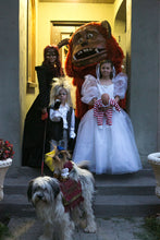 Load image into Gallery viewer, Labyrinth Family Costume
