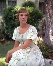 Load image into Gallery viewer, Maria&#39;s Ball Dress (Dirndl) from the Sound of Music
