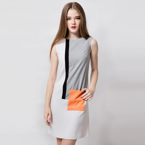 Shiftdress Sleeveless Petite Modern A line dress elegant dress