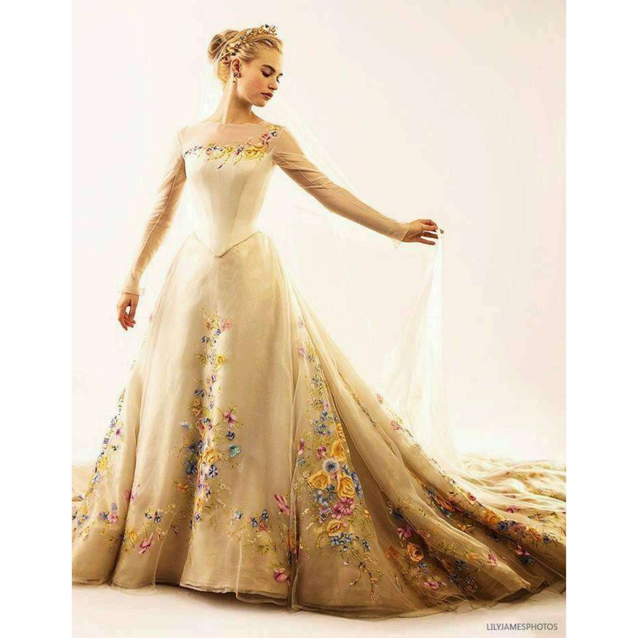 Cinderella the Princess of the royal ball of the Fairy Tale in Wedding Dress  Design dr… | Disney princess dresses, Disney princess dress up, Disney  princess fashion