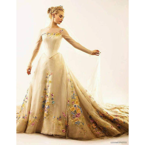 Cinderella wedding dress