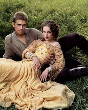 Load image into Gallery viewer, Padme floral cosplay Meadow Yellow picnic dress