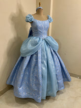 Load image into Gallery viewer, Cinderella 3D metallic brocade fabric Parks dress