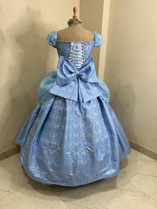 Cinderella 3D metallic brocade fabric Parks dress