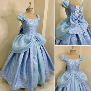 Cinderella 3D metallic brocade fabric Parks dress