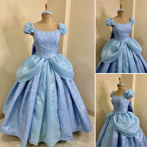 Cinderella 3D metallic brocade fabric Parks dress