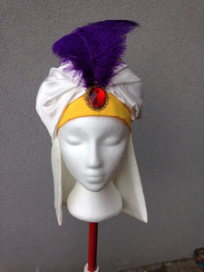 Prince ali aladdin park costume