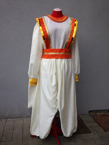 Prince ali aladdin park costume