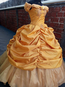 Princess Belle Ball gown golden Dress