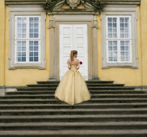 Beauty and the Beast Costume Ball Dress Princess Belle Gown