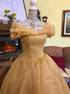 Beauty and the Beast Costume Ball Dress Princess Belle Gown