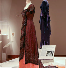 Load image into Gallery viewer, Dinner Delightful Belle Epoque Edwardian ROSE DEWITT BUKATER Dress