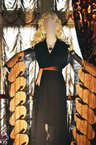 Titanic delightful Titanic Belle Epoque Edwardian dress